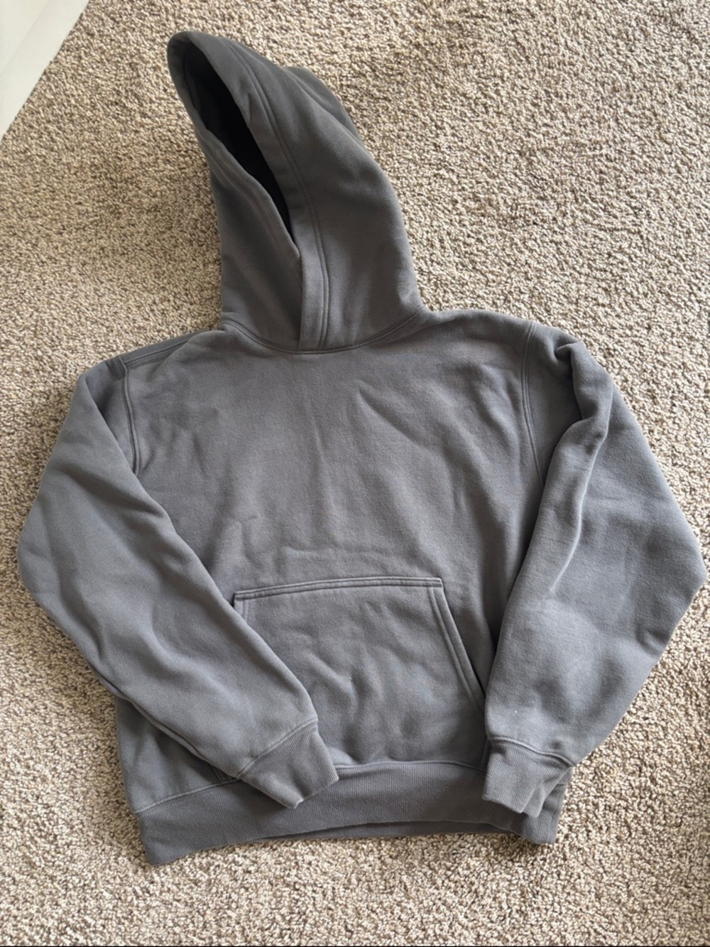 Aritzia Sweatfleece Cozy Fleece Perfect Hoodie